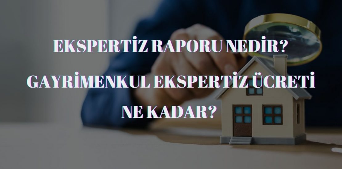 ekspertiz nedir