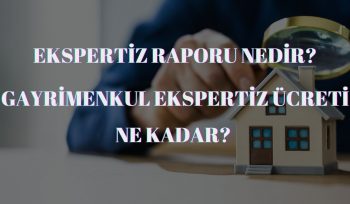 ekspertiz nedir